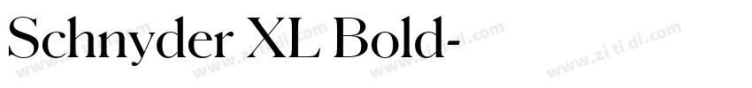 Schnyder XL Bold字体转换 Schnyder XL Bold字体转换